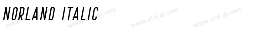 Norland Italic字体转换